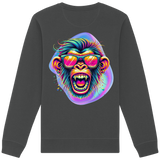 Crazy Chimp - Sweat-shirt bio